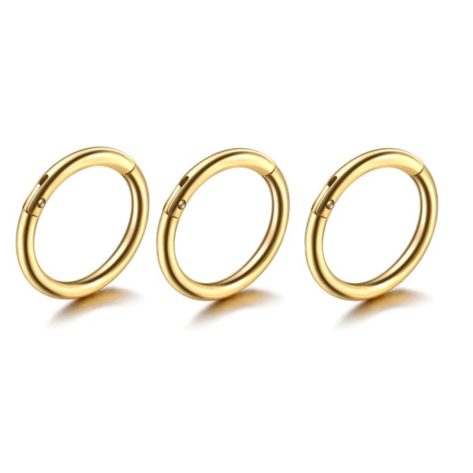 PVD Steel Hinged Segment Hoop Rings